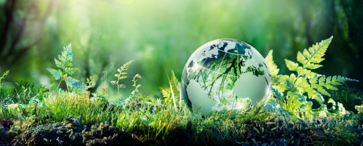 Photo of Glass Globe in leaves